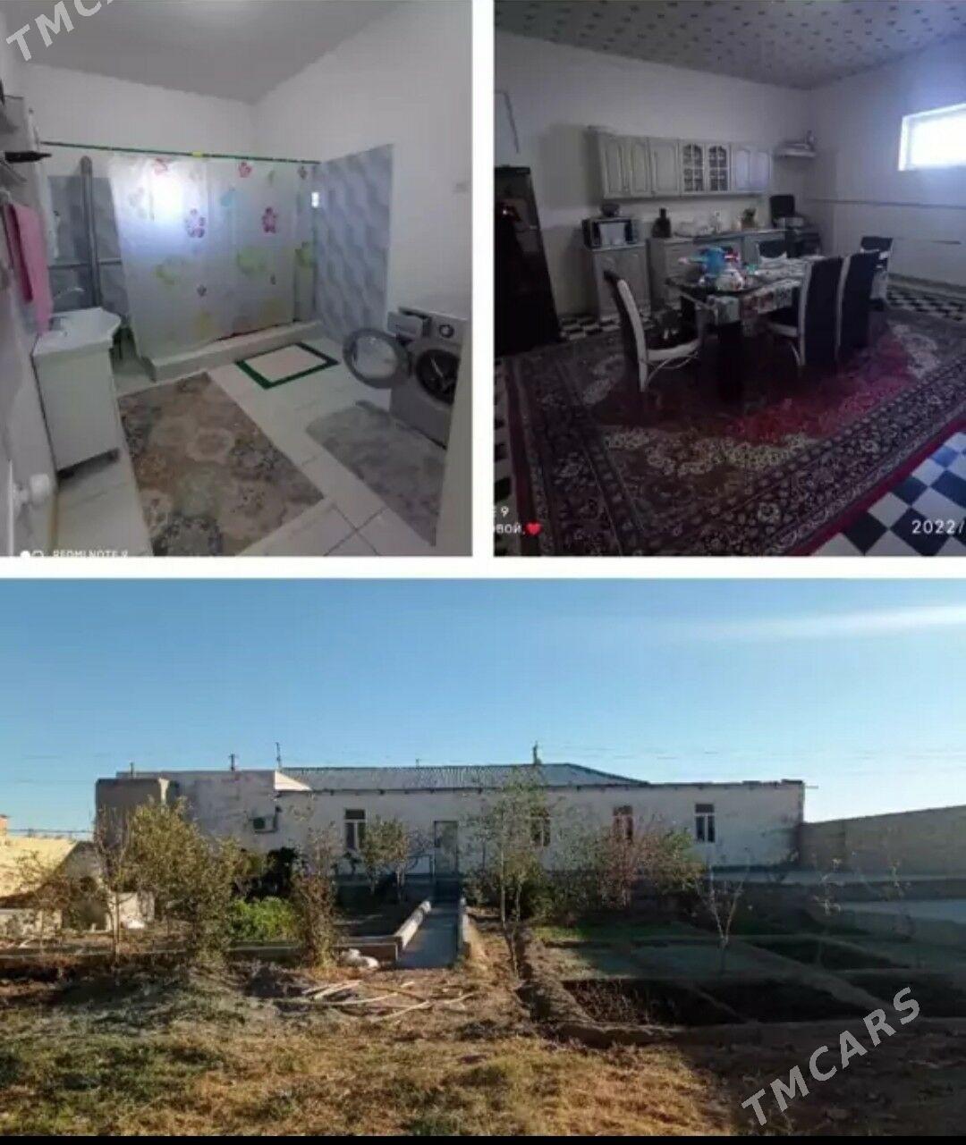 плановый жай Seýdi - Сейди - img 1