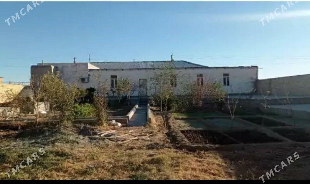 плановый жай Seýdi - Сейди - img 2