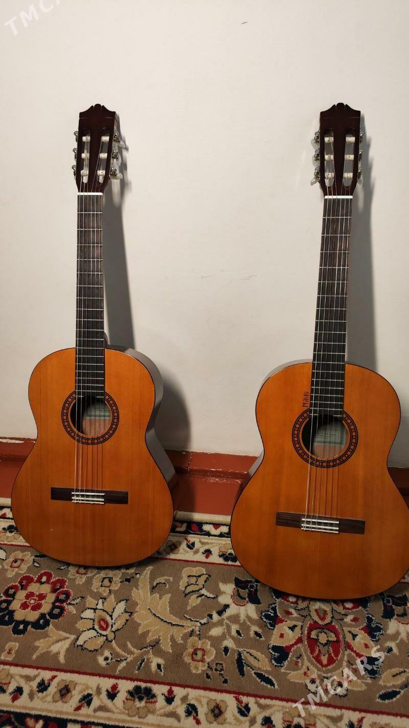 Gitara saz guraly - Daşoguz - img 4