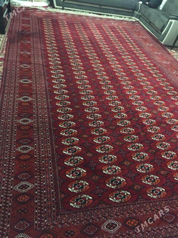 элхалы - Köşi - img 2