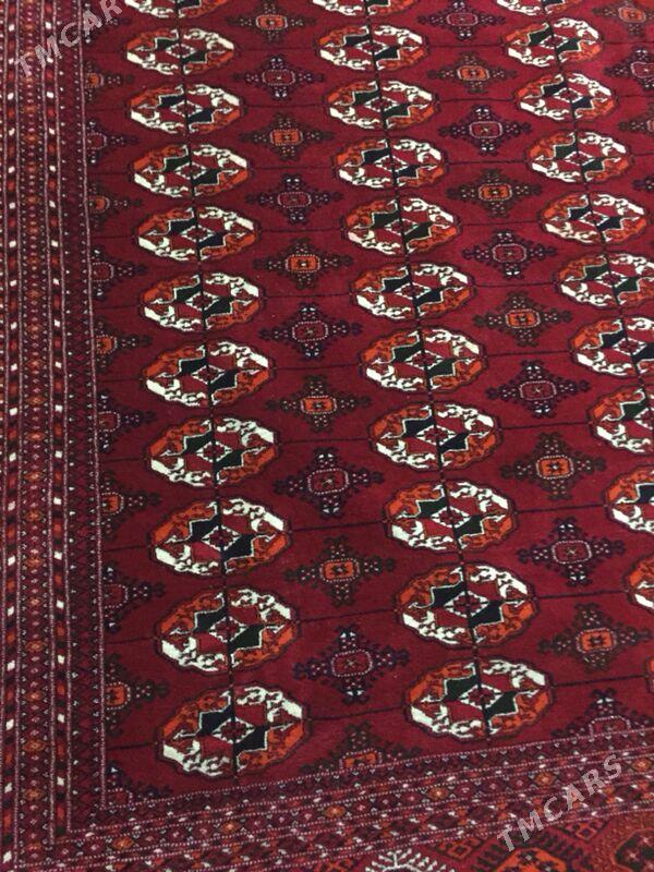 элхалы - Köşi - img 1