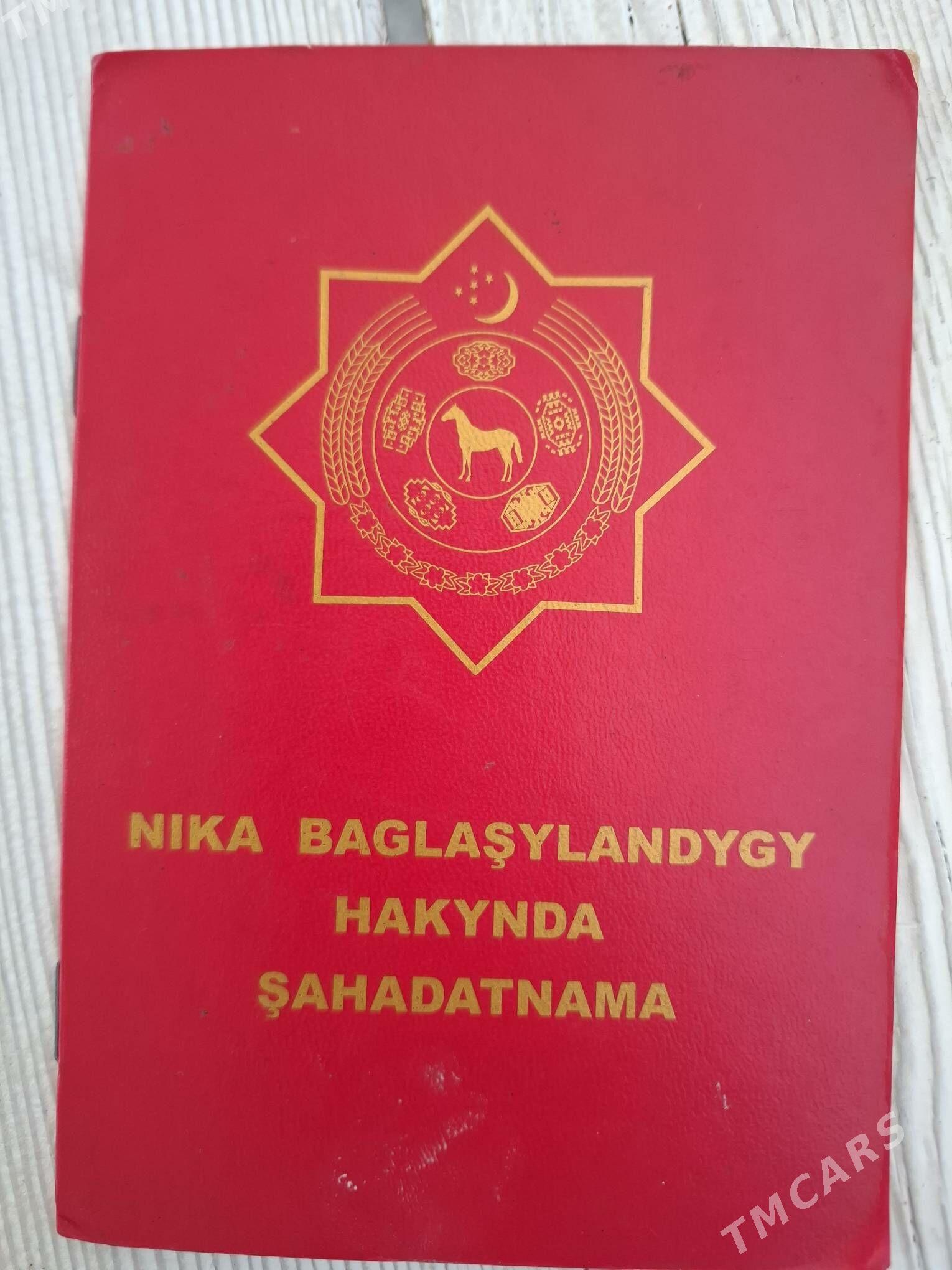 Nika Shahadatnama - Туркменбаши - img 1