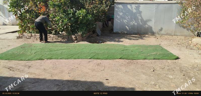 gazon - Дашогуз - img 2