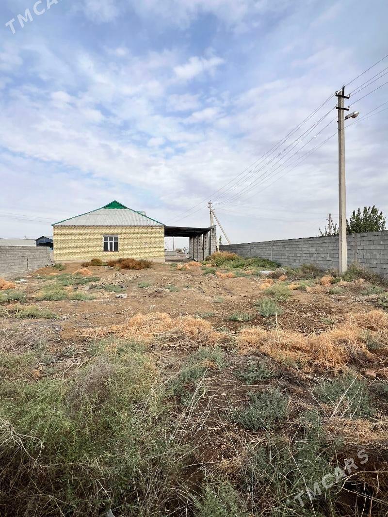 Жай - Яшлык - img 3