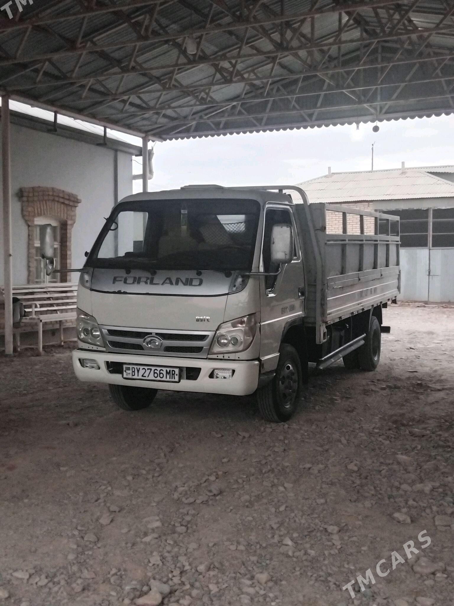 Forland H2 2014 - 138 000 TMT - Мары - img 3