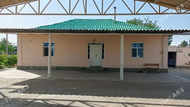 satlyk mellek Jayly - Gypjak - img 4