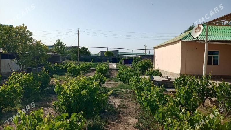 satlyk mellek Jayly - Gypjak - img 5