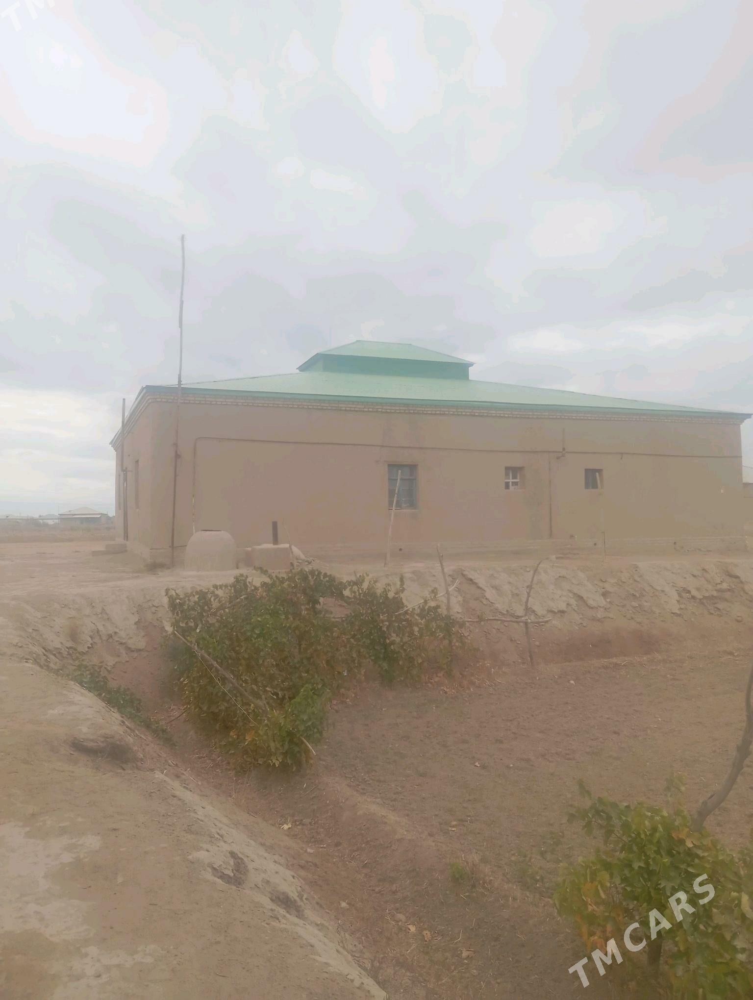 MOLTYPDA JAY GYSSAGLY - Гороглы (Тагта) - img 4