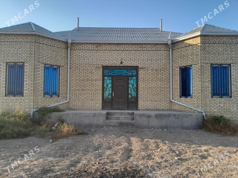 Mary-Şäher-Satlyk-Howly - Mary - img 2