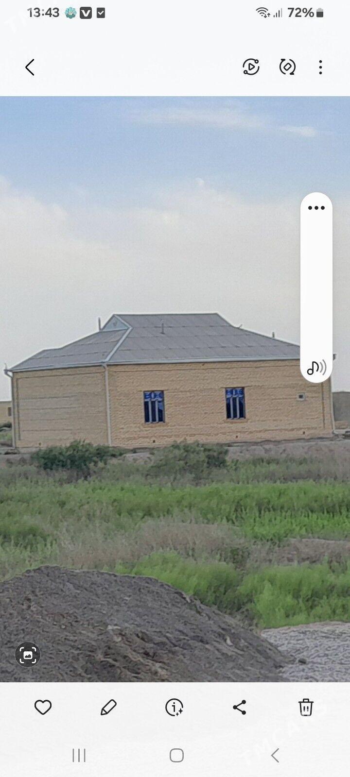 Mary-Şäher-Satlyk-Howly - Mary - img 3