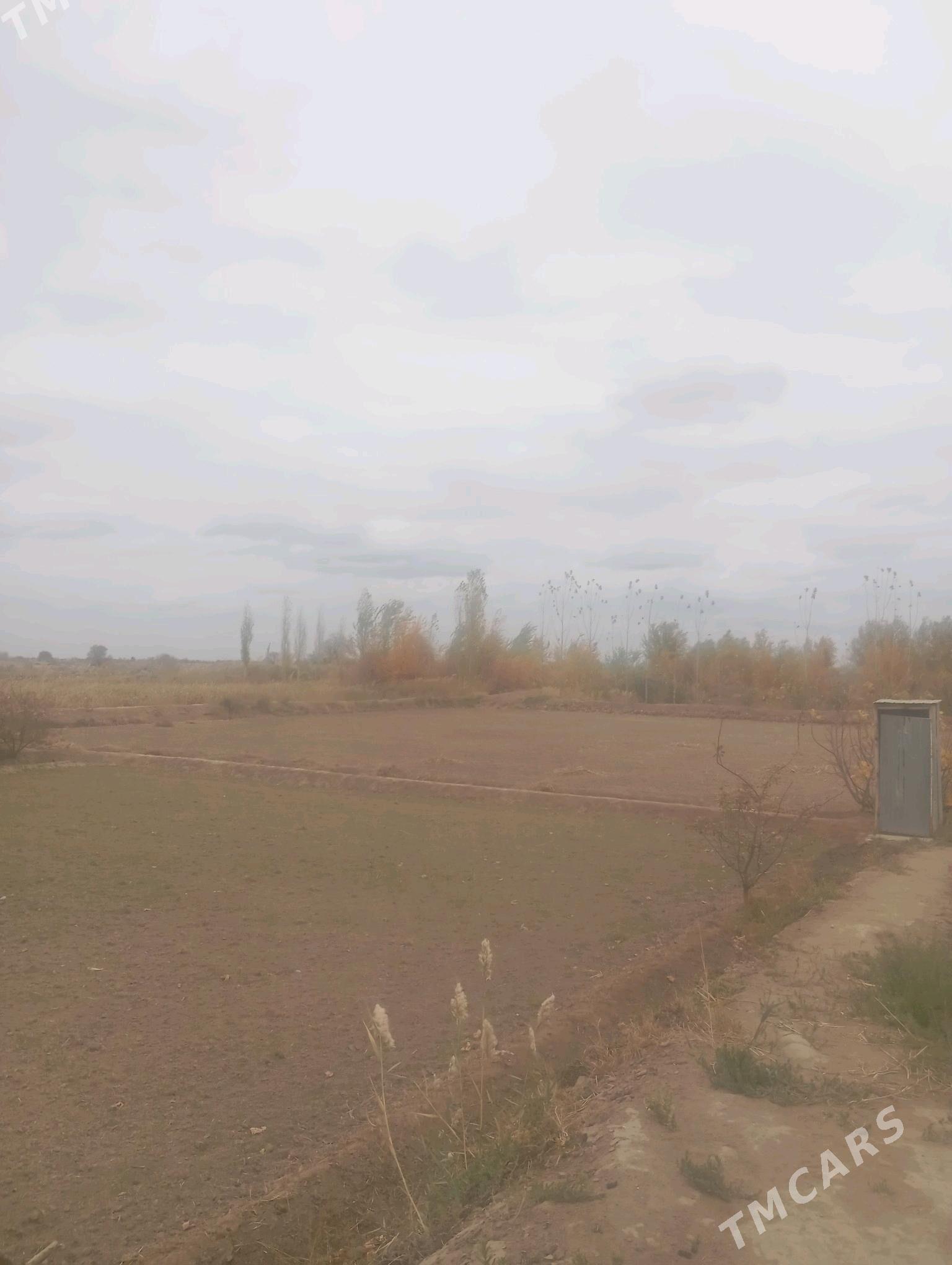 MOLTYPDA JAY GYSSAGLY - Гороглы (Тагта) - img 7