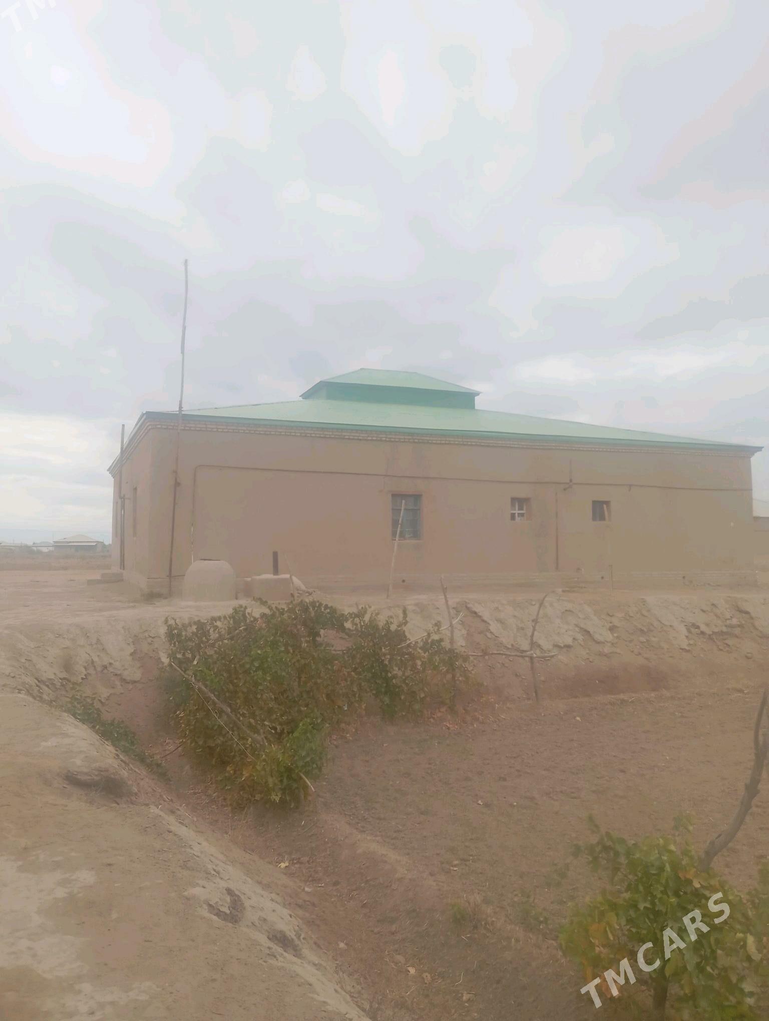 MOLTYPDA JAY GYSSAGLY - Гороглы (Тагта) - img 8