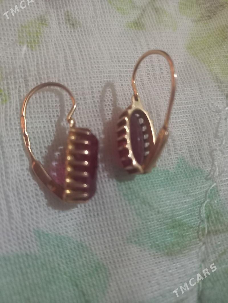 Altyn - Гороглы (Тагта) - img 3