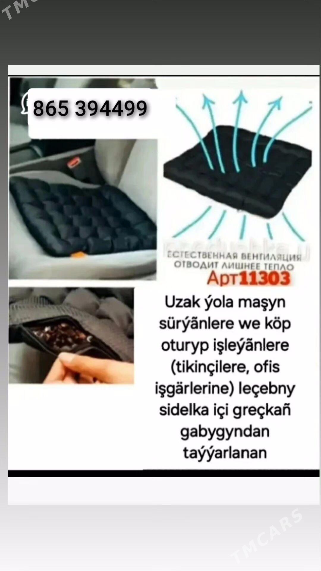 Sidenya liçebny - Balkanabat - img 2