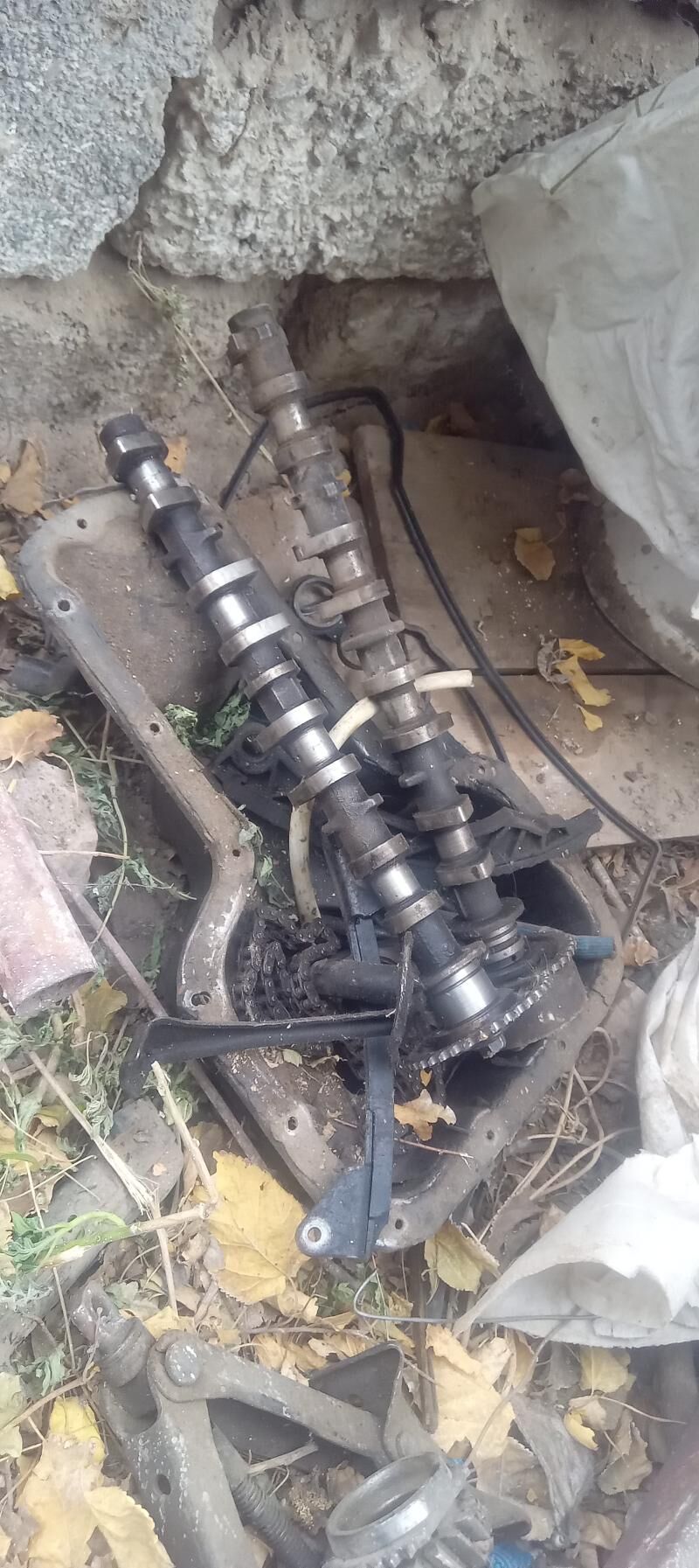 Corolla haliji zapcaslary 500 TMT - Gagarin köç, köne Howa menzili - img 3