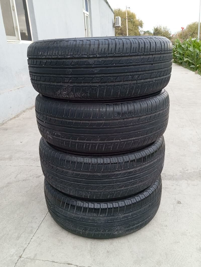 Dysga pakryşga 16 3 700 TMT - Bedew - img 4