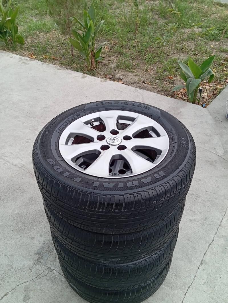 Dysga pakryşga 16 3 700 TMT - Bedew - img 3