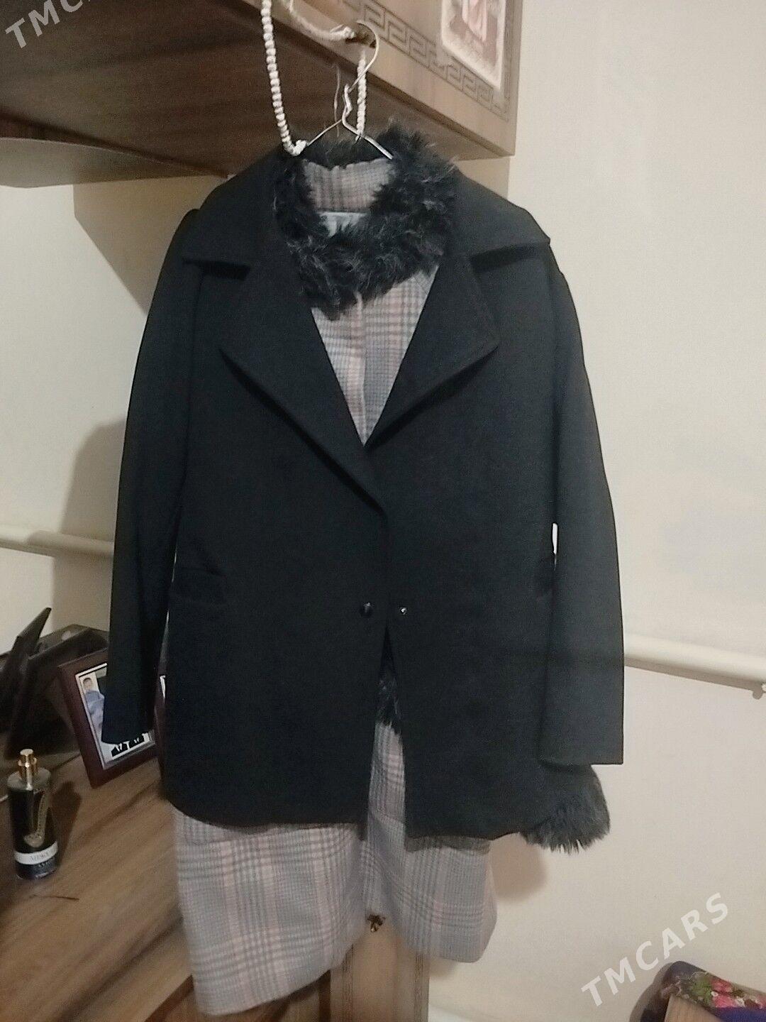 palto - Daşoguz - img 2