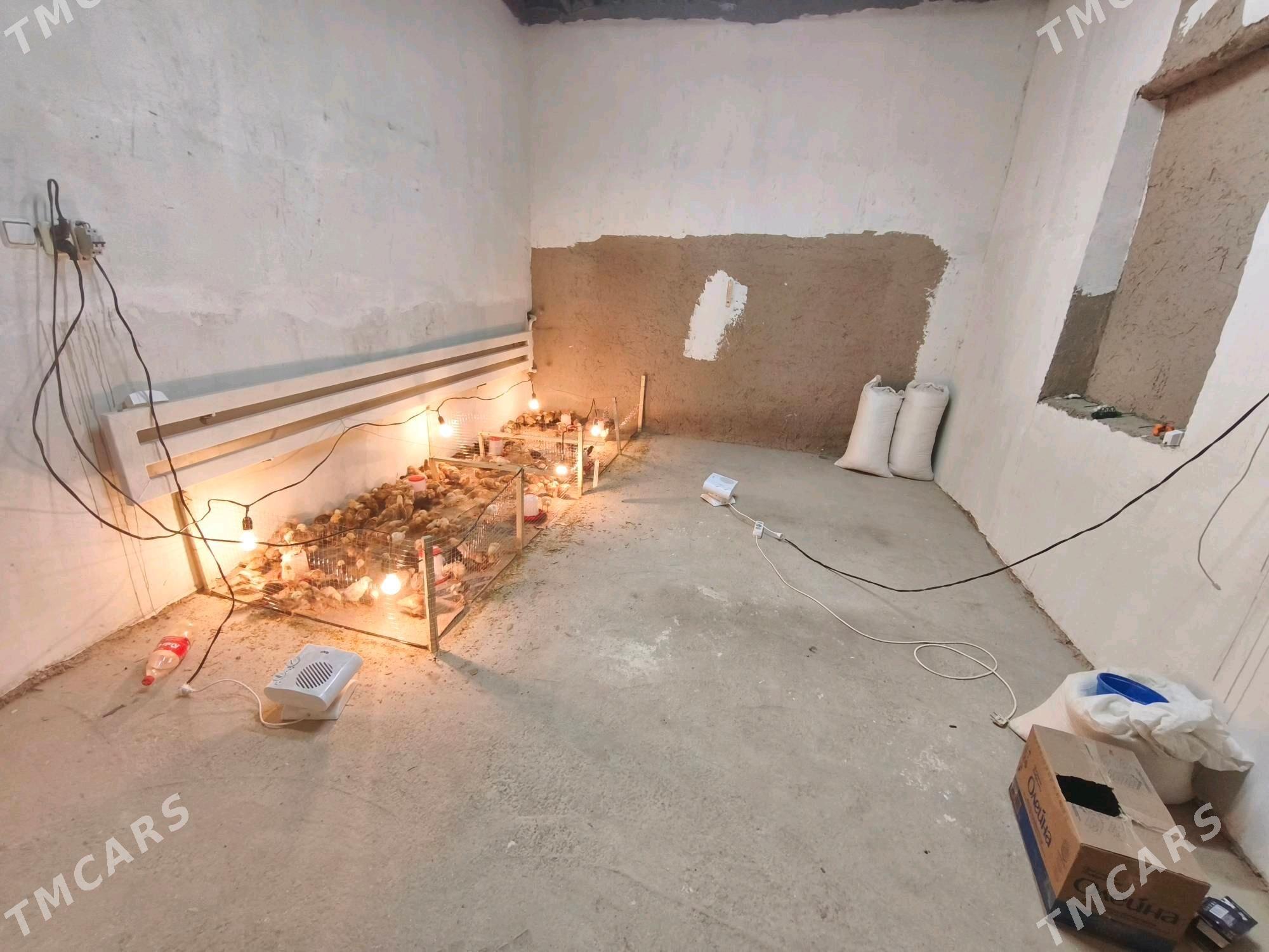 JUYJE - Şabat etr. - img 3