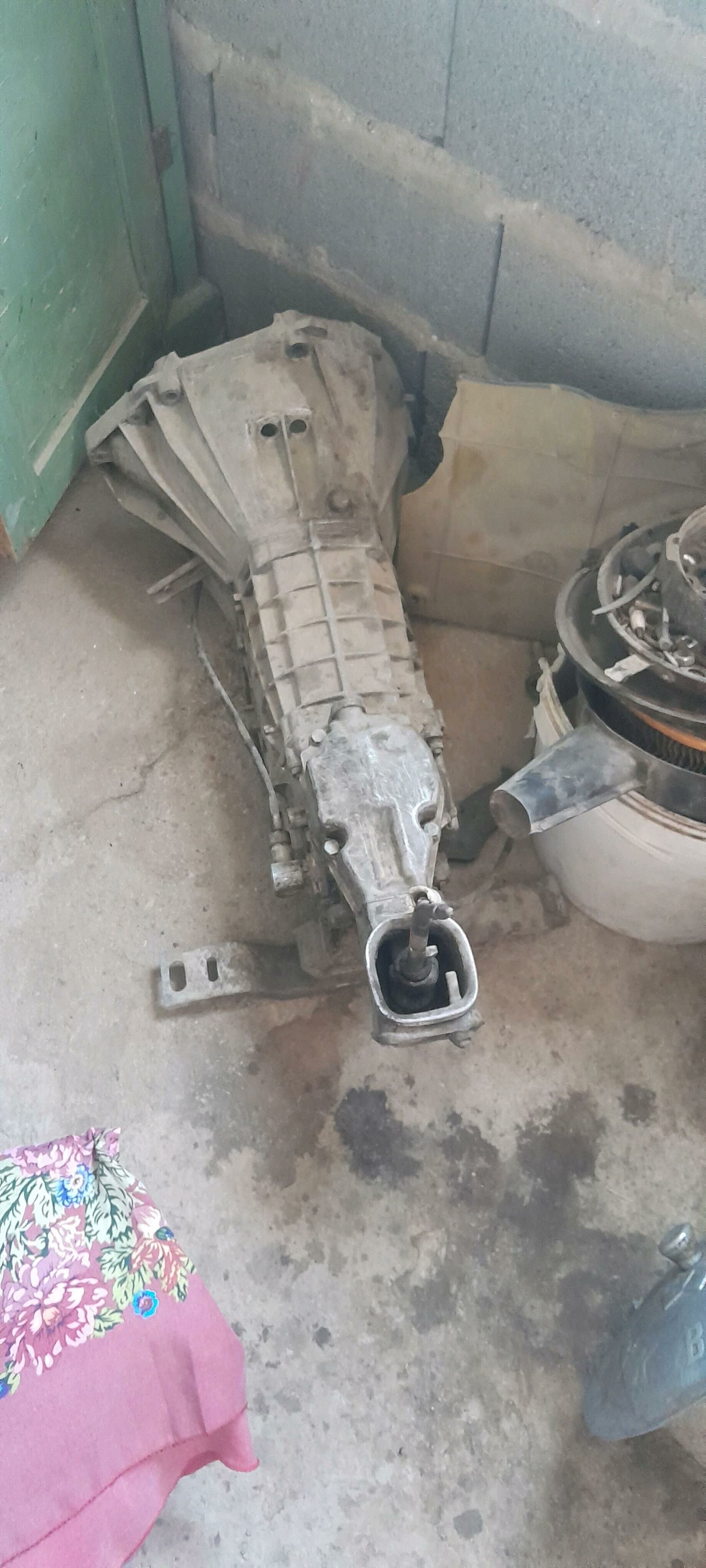 Lada karopga doğan 3 000 TMT - Bäherden - img 2