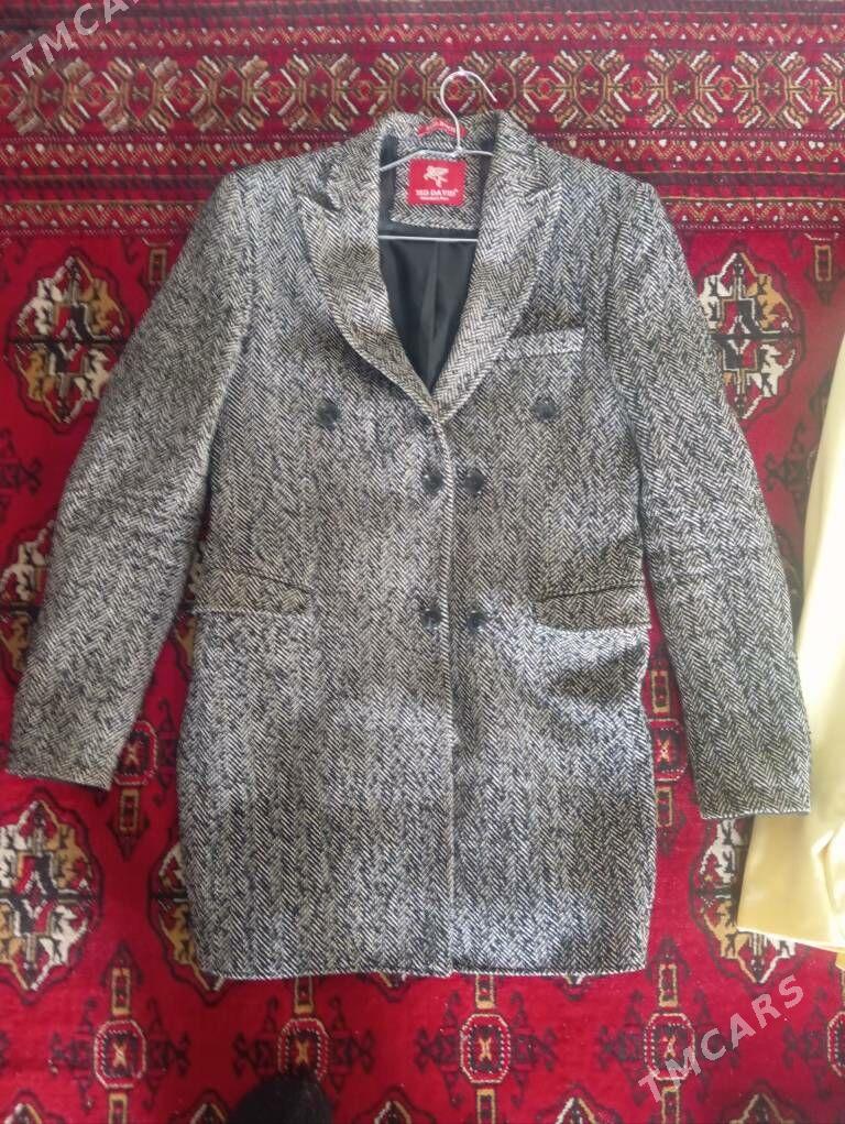 Kastum bryuk - Болдумсаз - img 7