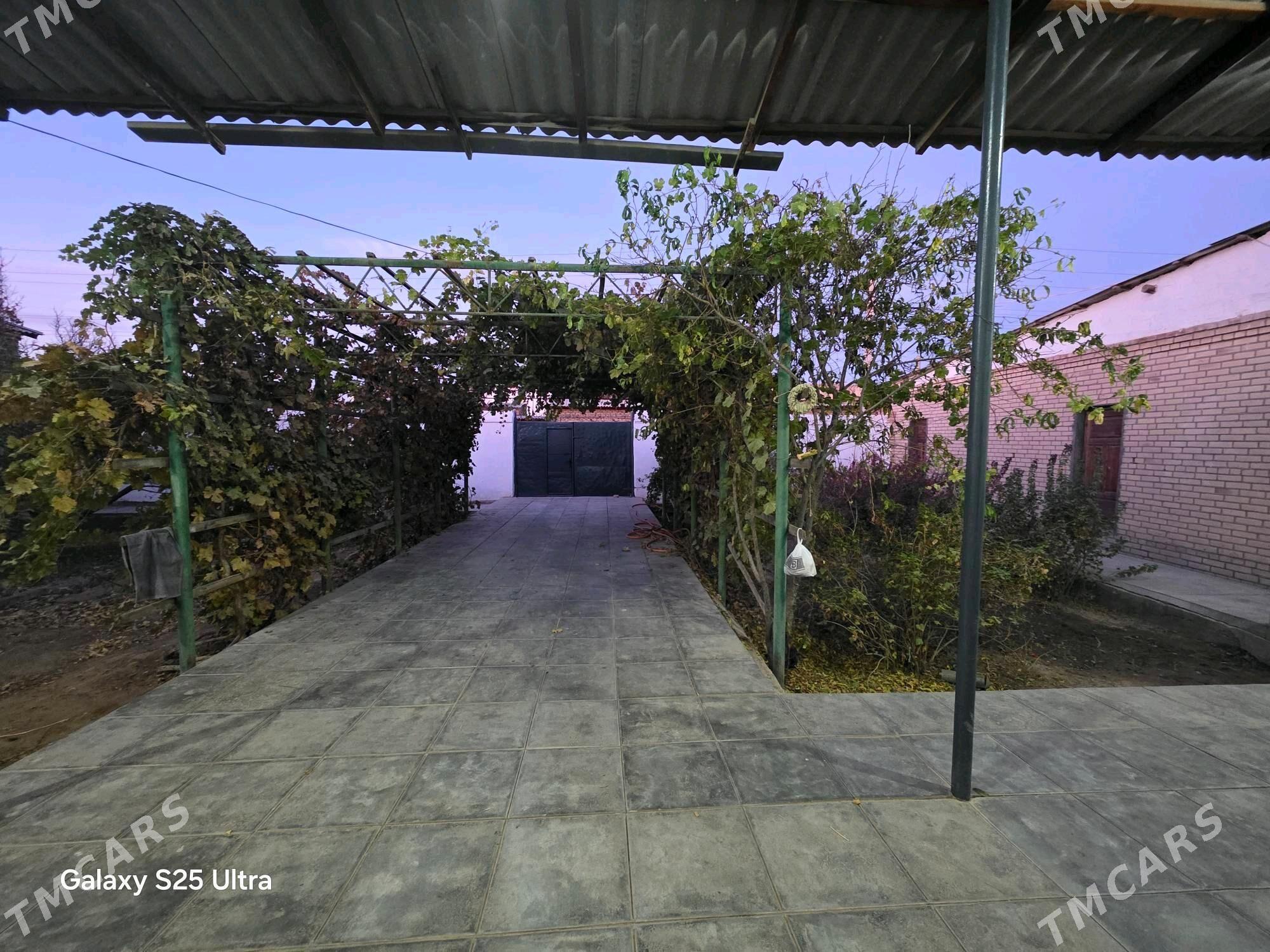 Бай оба ховлы жай  - Дашогуз - img 3