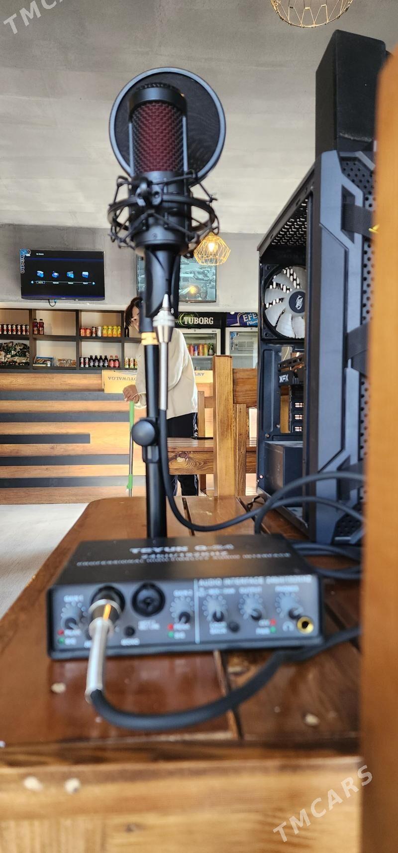 studio. - Анев - img 6