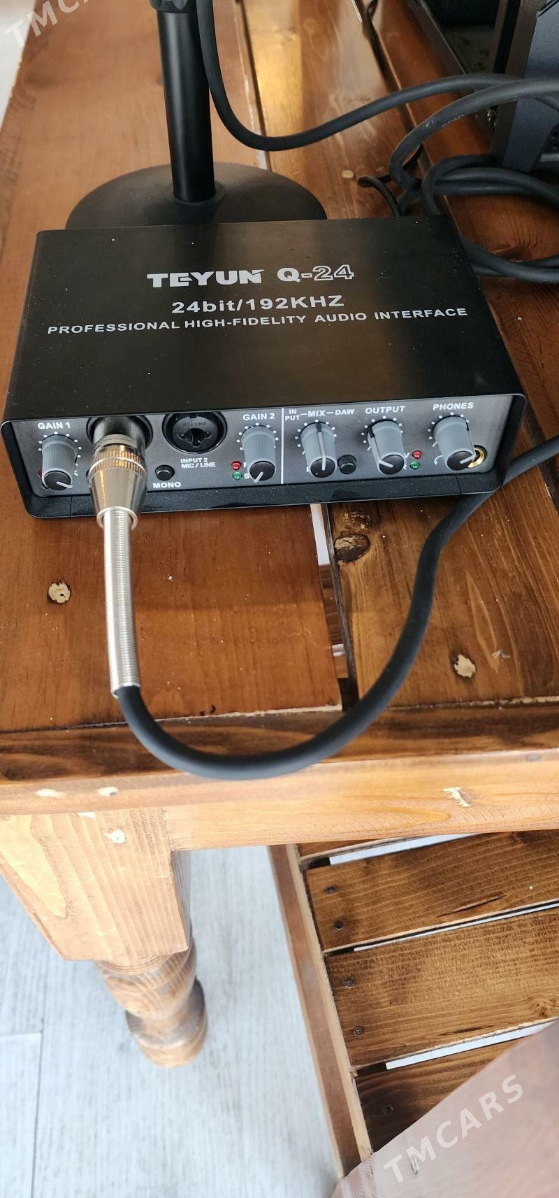 studio. - Анев - img 7