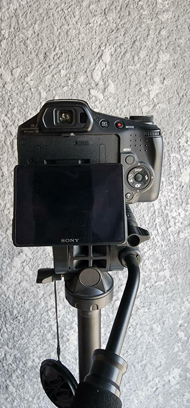 studio. - Анев - img 9