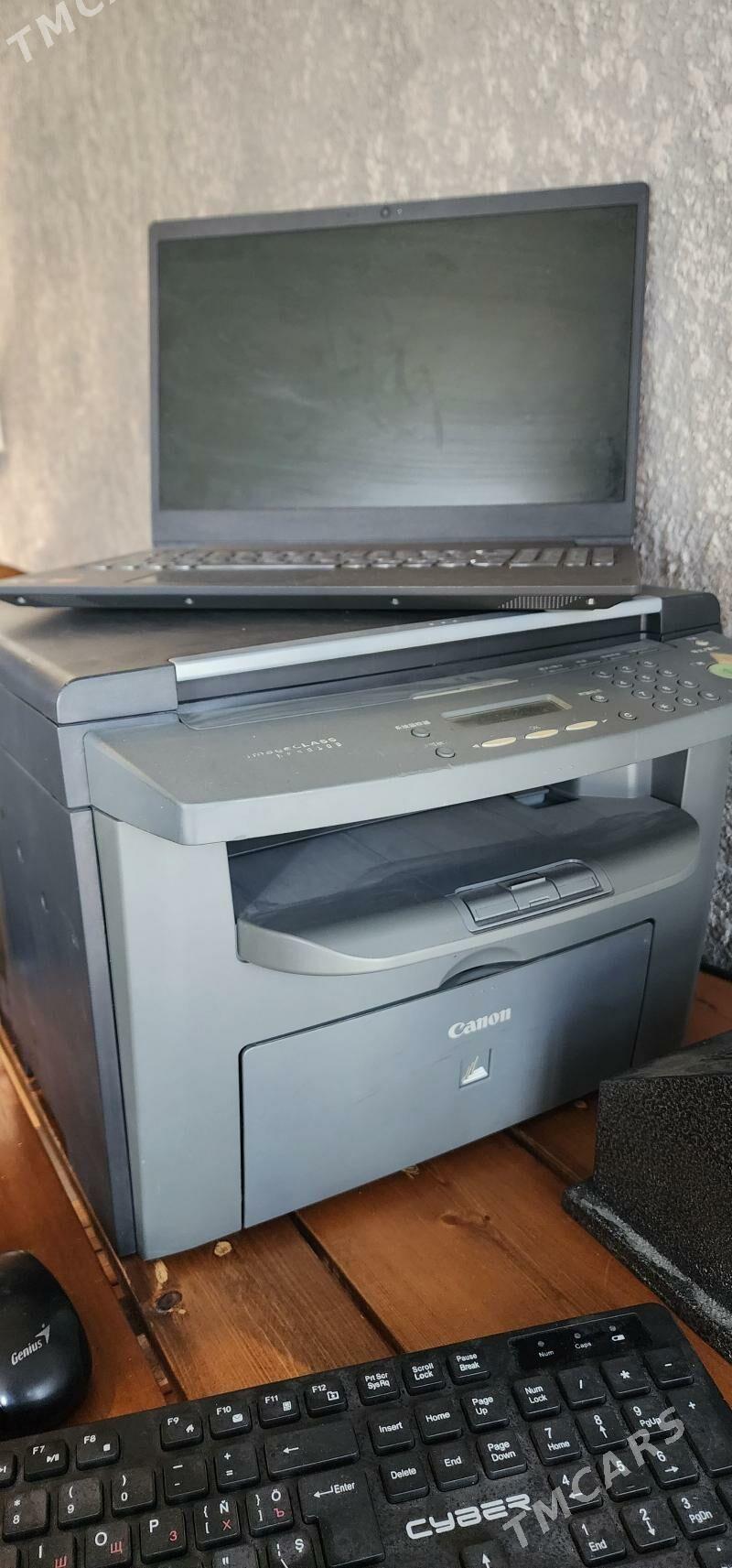 studio. - Анев - img 2