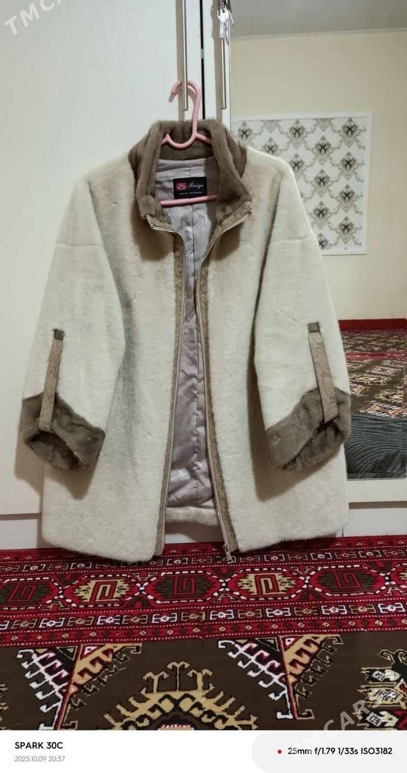 Şuba - Ашхабад - img 2