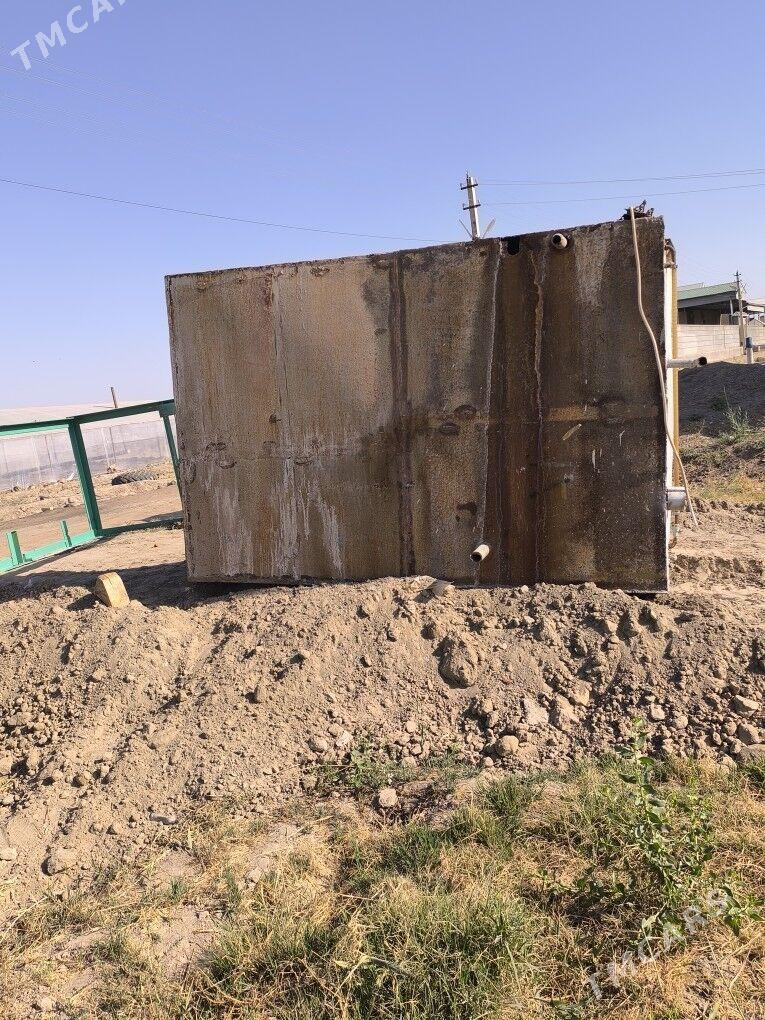 bocka - Sakarçäge - img 4