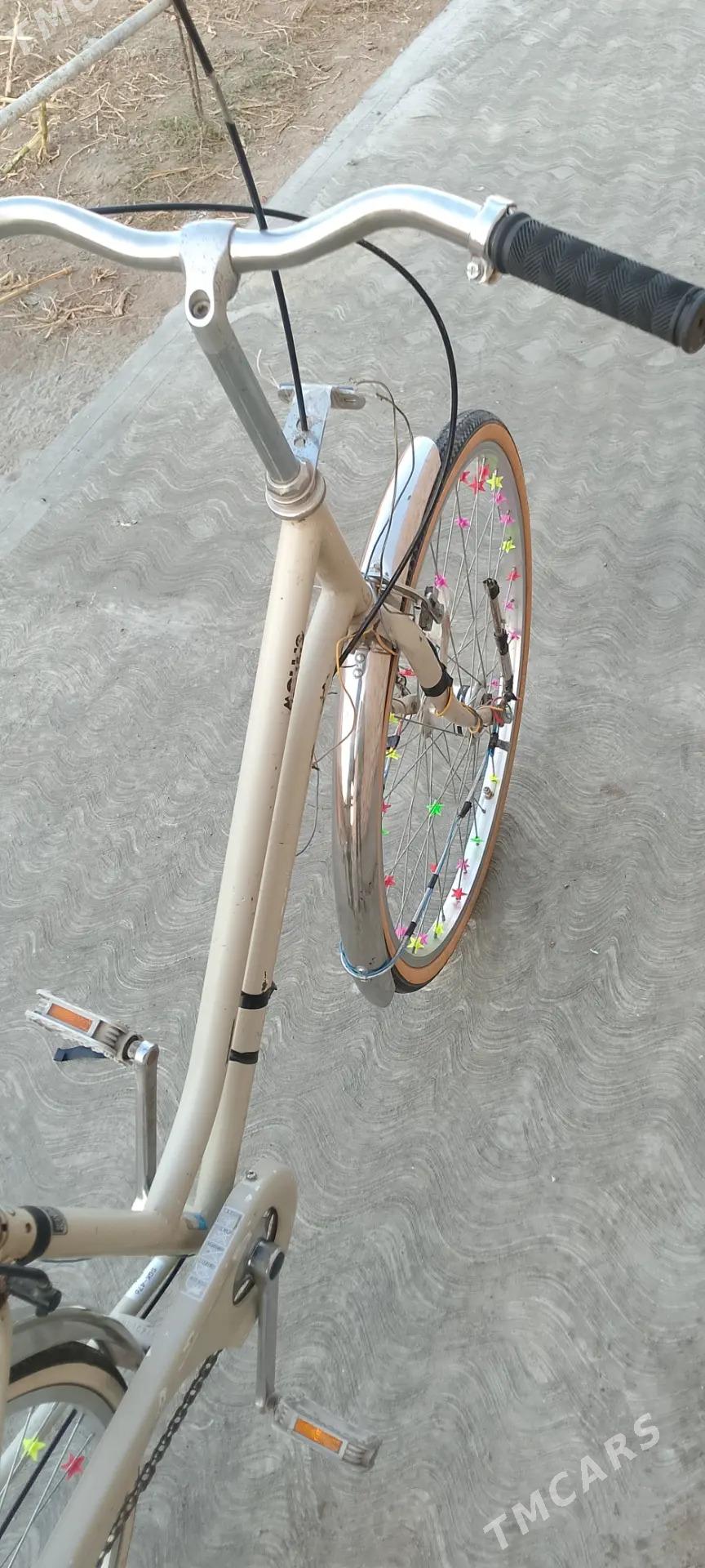 26lyk ural - Çärjew - img 8