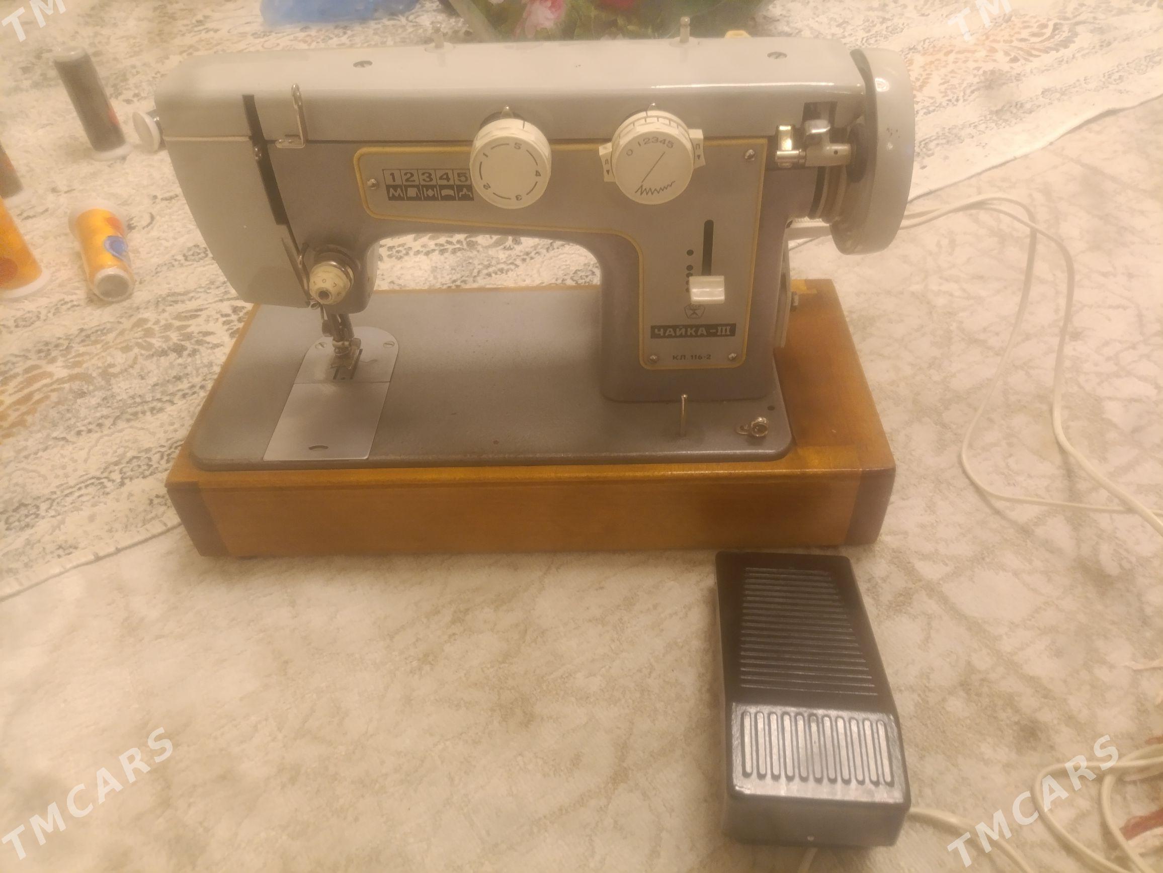 Çayka dikin masyn - Аркадаг - img 1