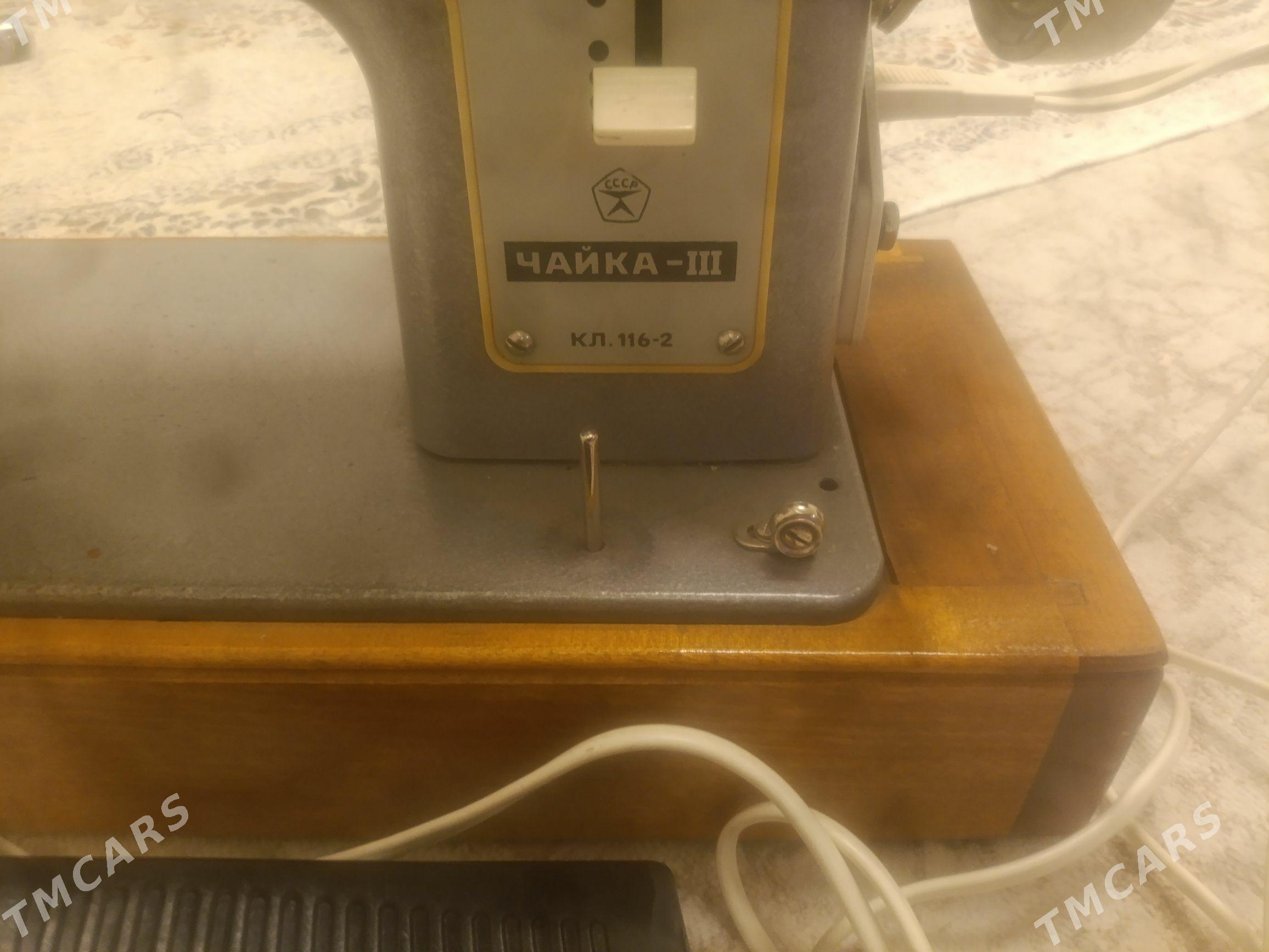 Çayka dikin masyn - Аркадаг - img 4