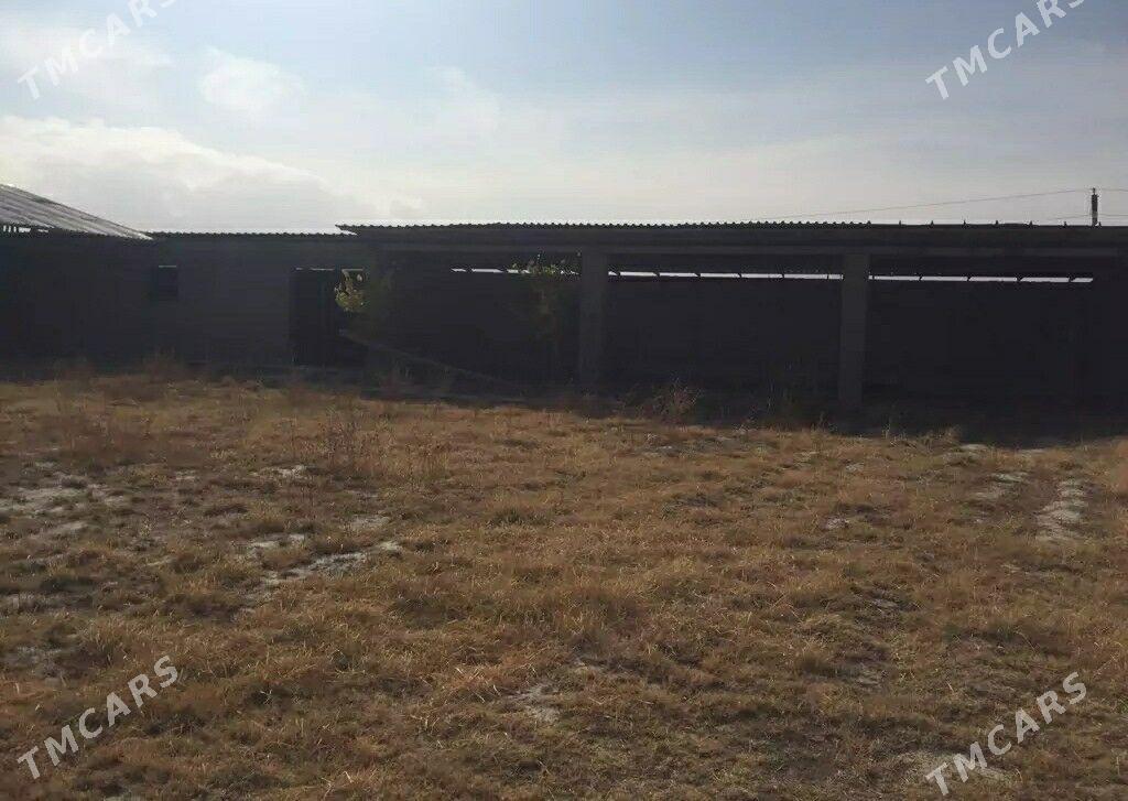 mal ferma - Бахарден - img 4