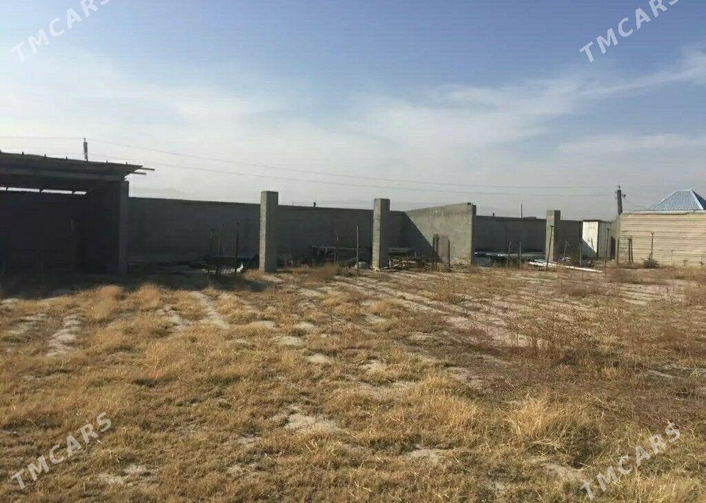 mal ferma - Бахарден - img 3