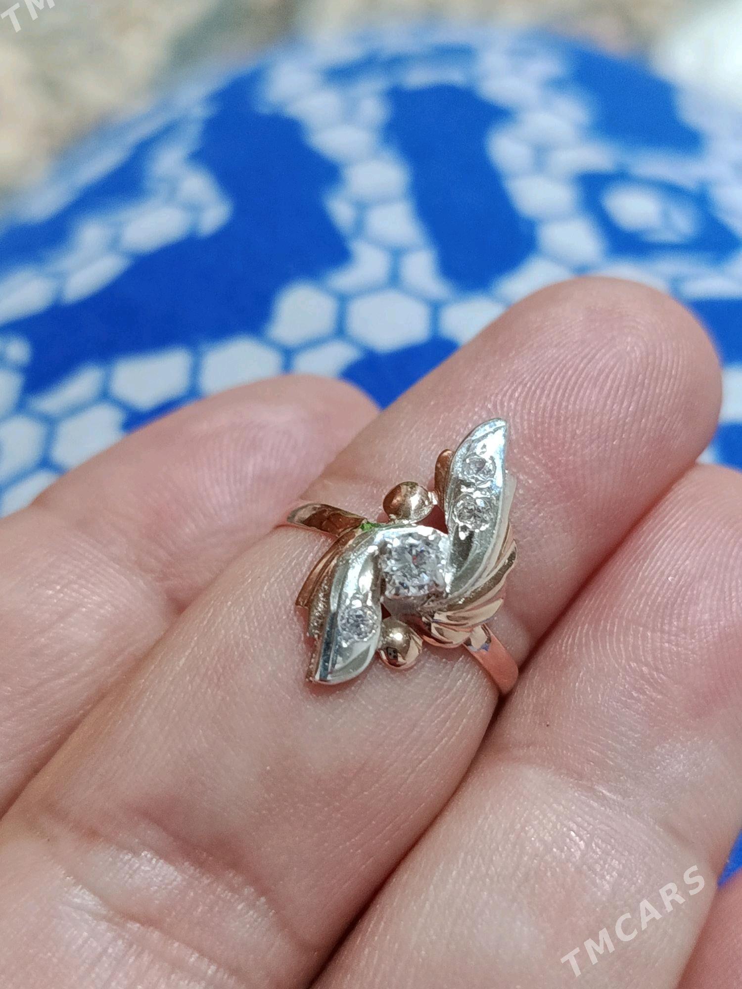 gyzyl ŷuzuk - Aşgabat - img 1