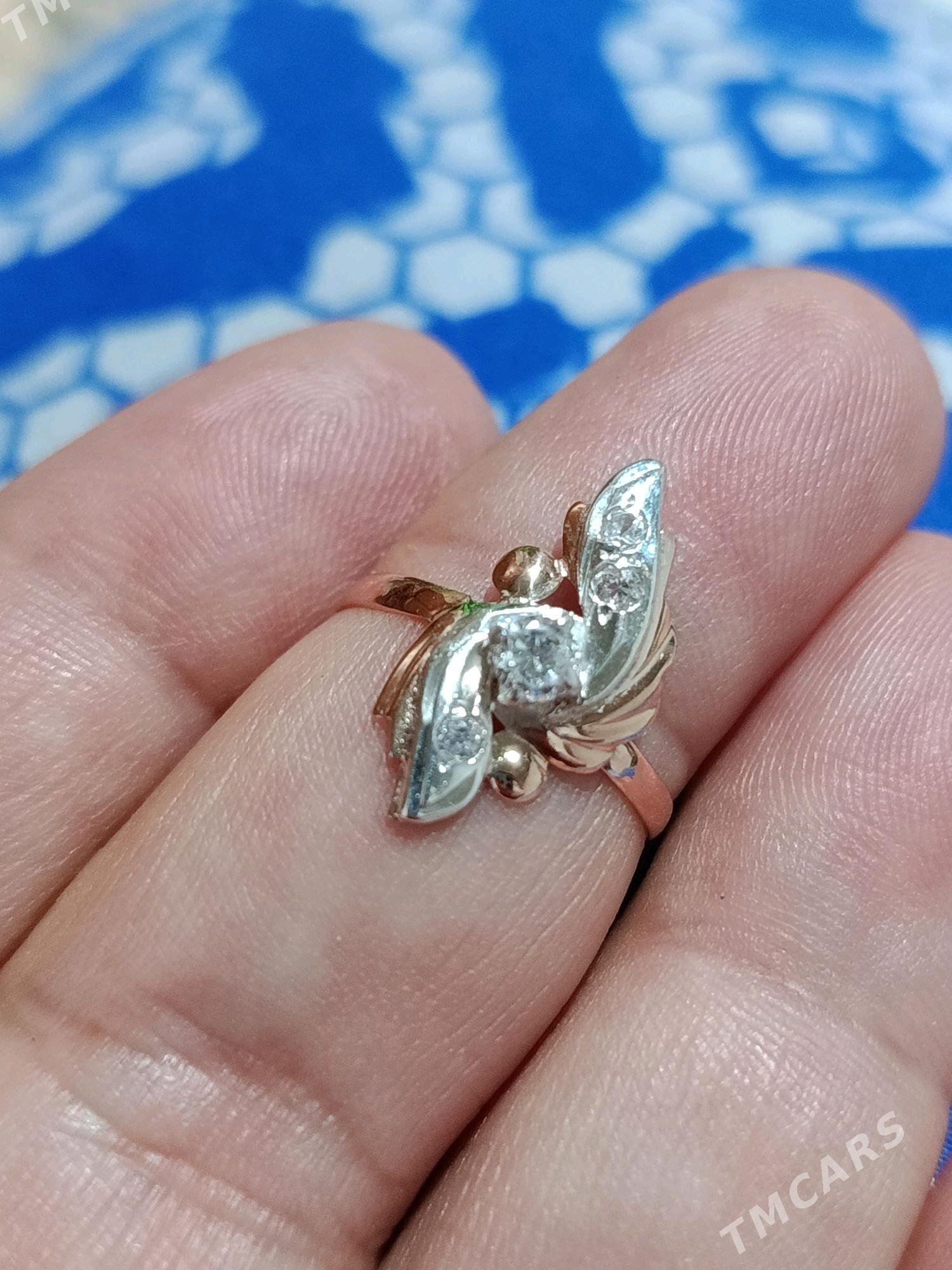 gyzyl ŷuzuk - Aşgabat - img 2