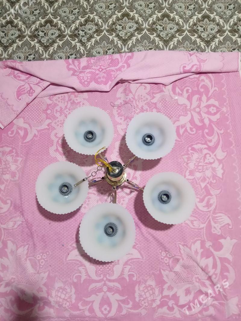 Lýustralar - Ашхабад - img 2