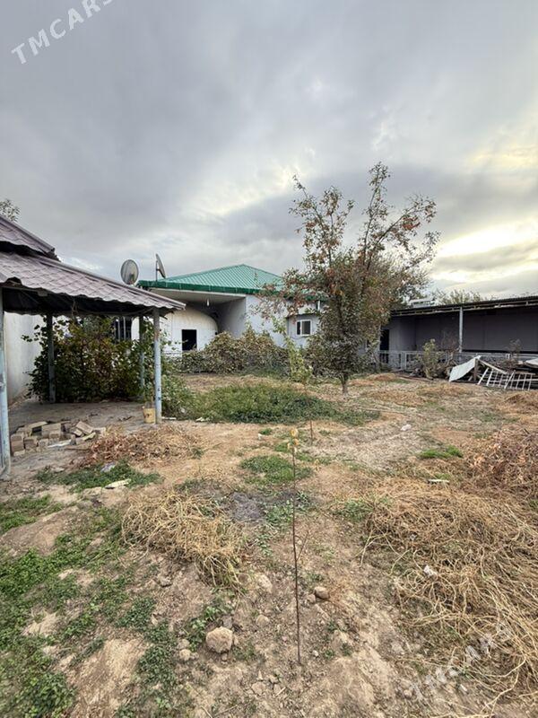 Gami plan jay satlyk - Ак-Бугдайский этрап - img 2