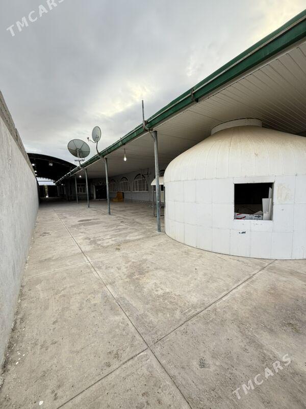 Gami plan jay satlyk - Ак-Бугдайский этрап - img 3