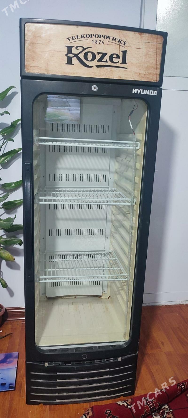 holodilnik - Gypjak - img 2