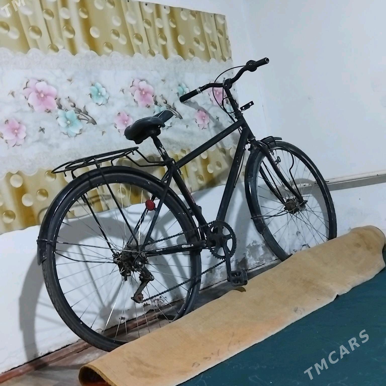 27lik velik tigir - Mary - img 1