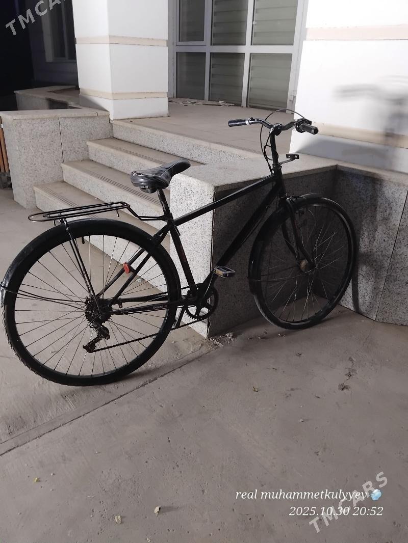 27lik velik tigir - Mary - img 2