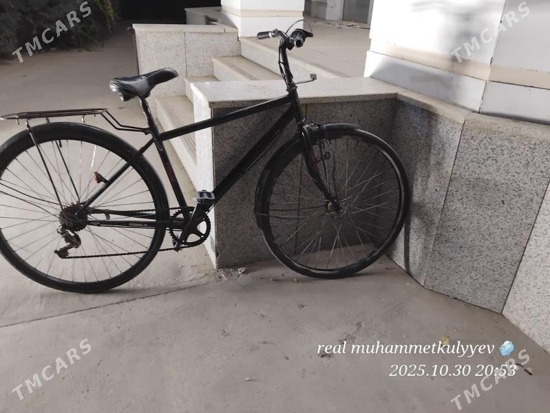 27lik velik tigir - Mary - img 3