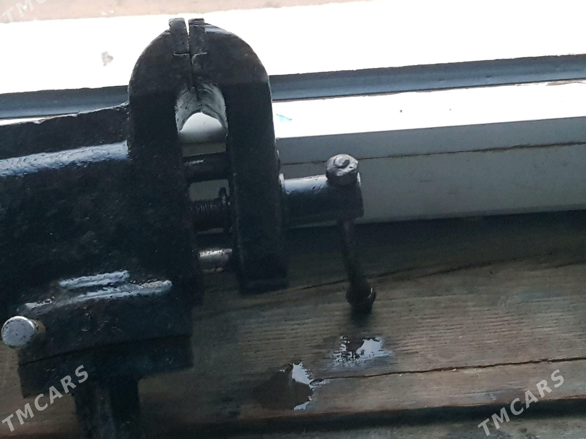 tiski,  gysgyç,kumuşçiñki - Mary - img 2