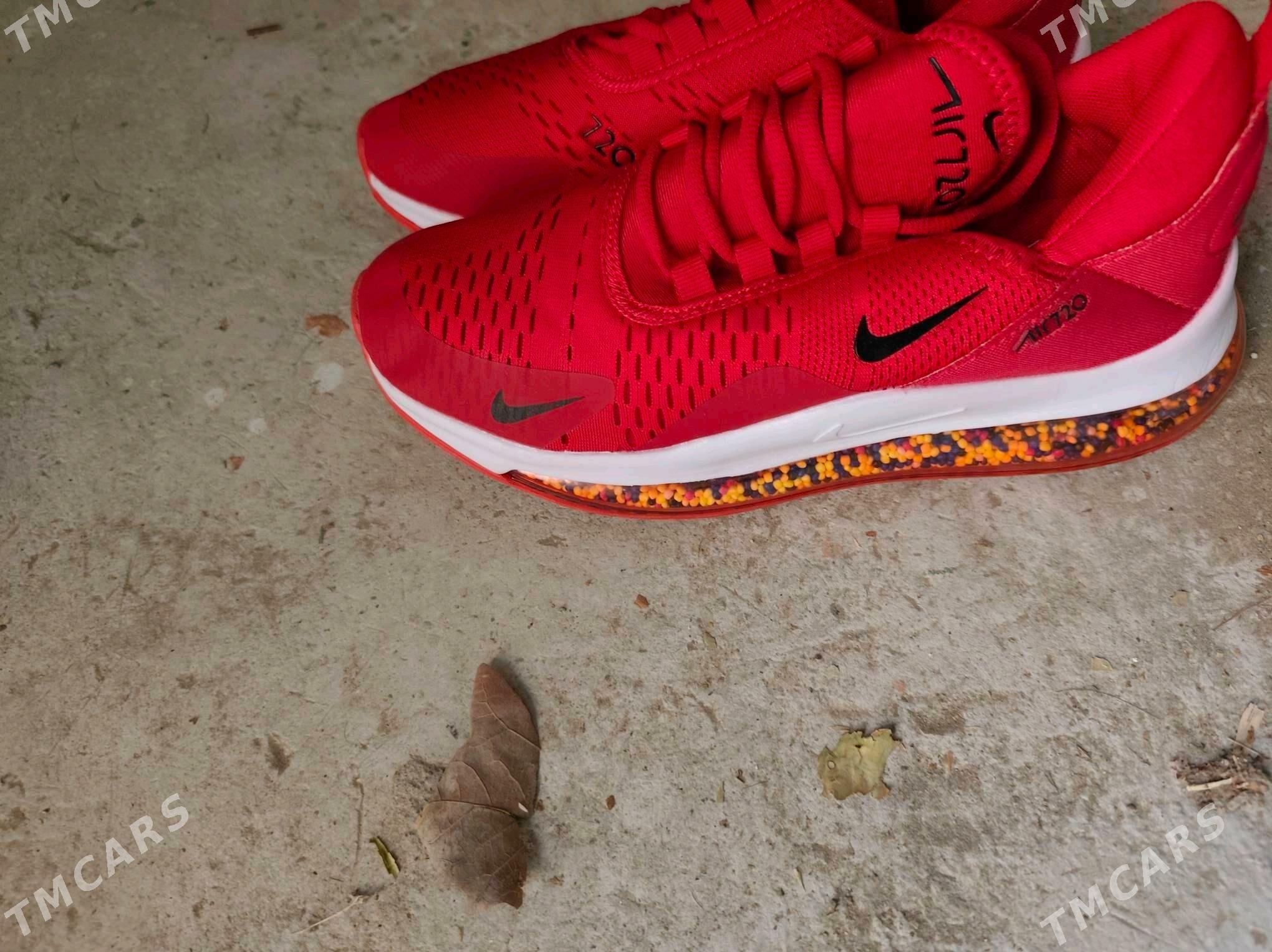 krasowkakrasowka - Änew - img 4