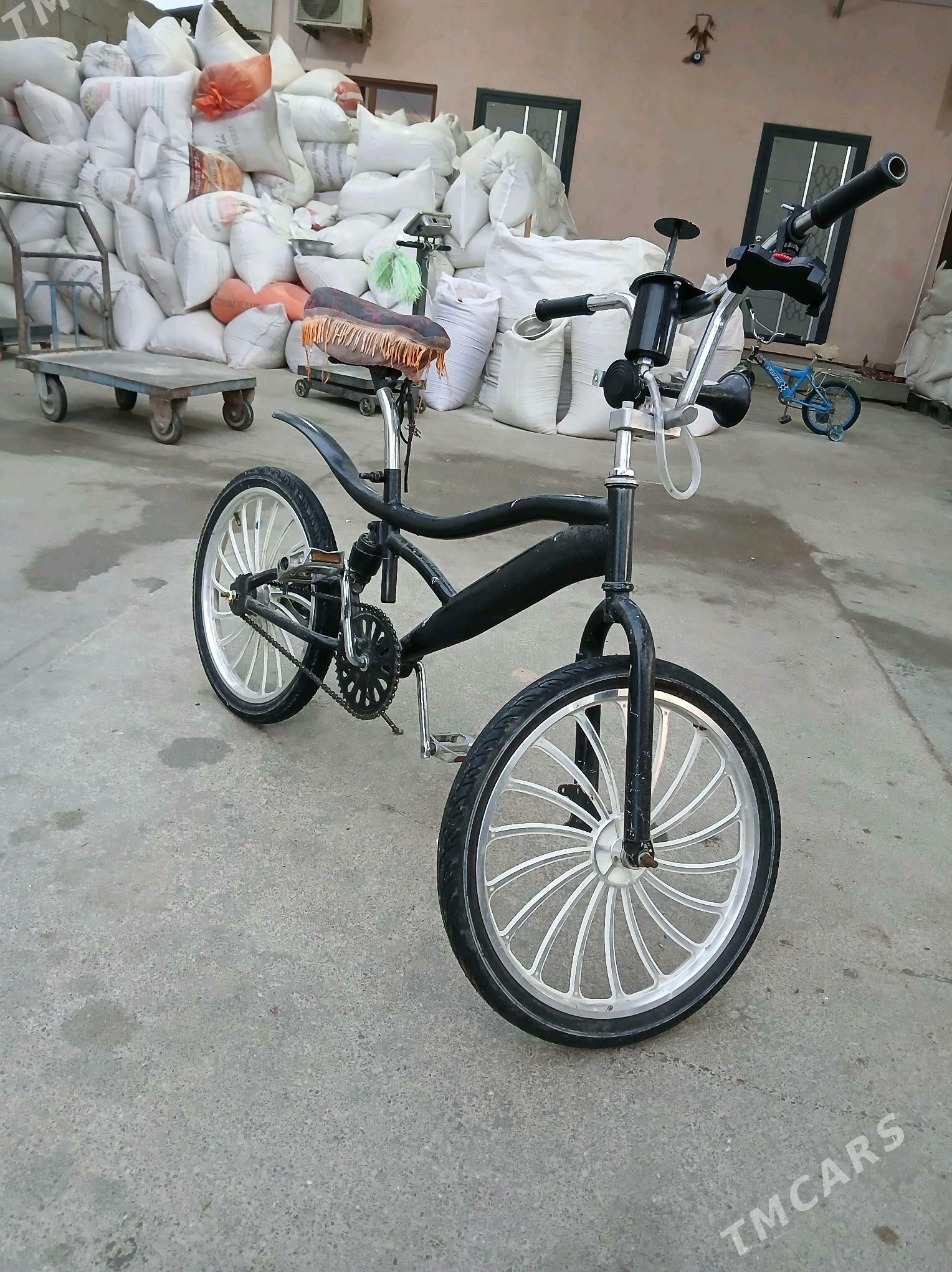 Tigir duga - Büzmeýin - img 5