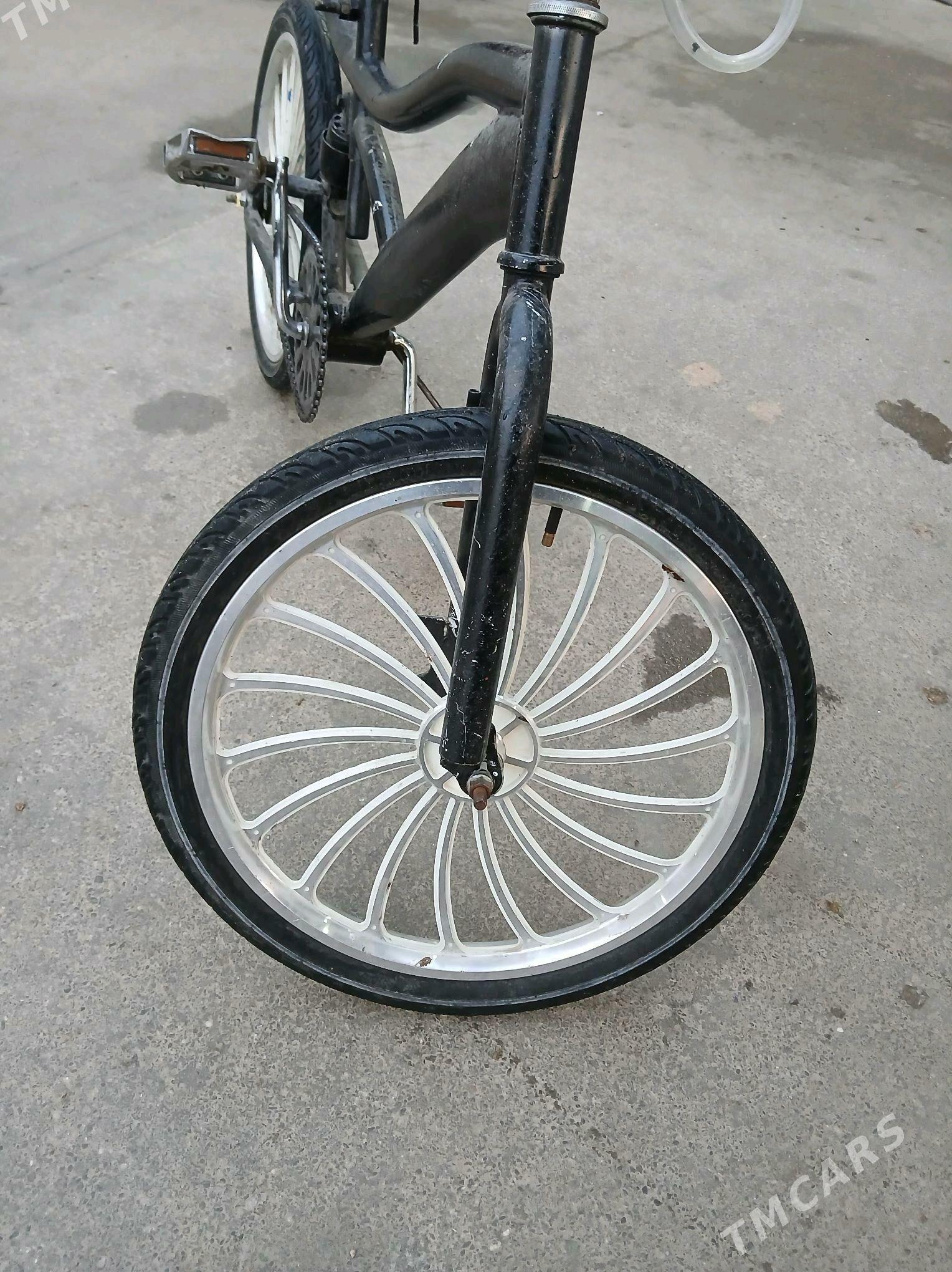 Tigir duga - Büzmeýin - img 6